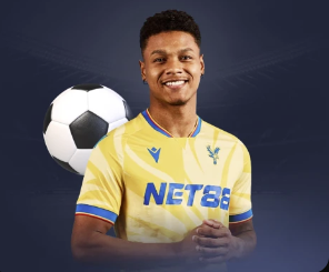 KINGKONG官网最新